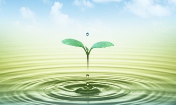 Conquering Anxiety & Depression