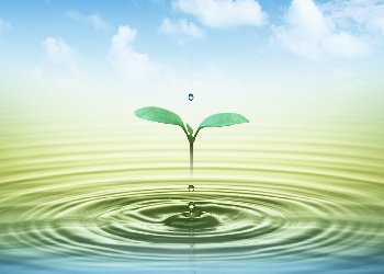 Life... reimagined!